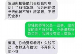 西和专业讨债公司有哪些核心服务？